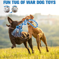 BINGPET large-dog rope toy in action during tug-of-war for bonding