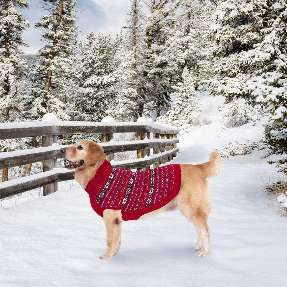 BINGPET dog sweater ideal for holiday parties and photos.