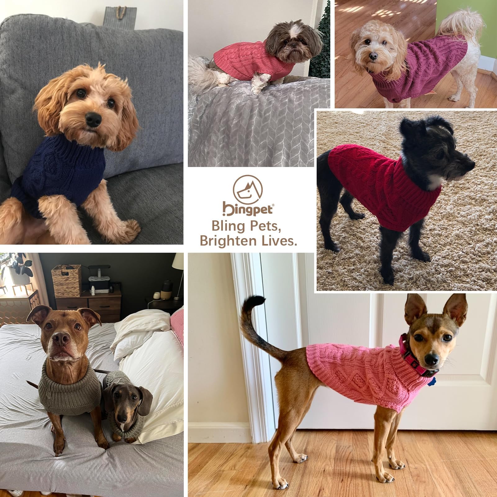 BINGPET dog sweater with leash hole back features easy strolls
