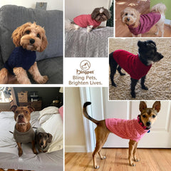 BINGPET dog sweater with leash hole back features easy strolls