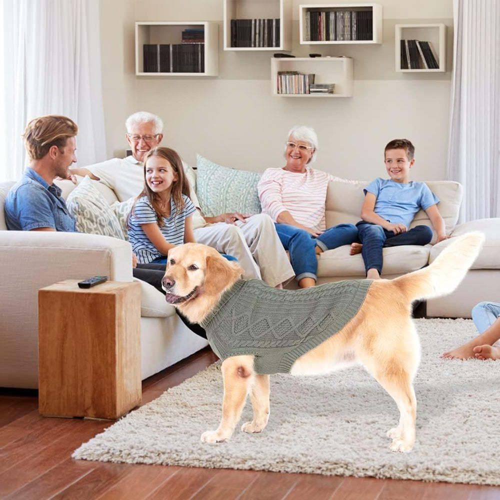 BINGPET soft stretchy acrylic yarn dog sweater ready for chilly outings