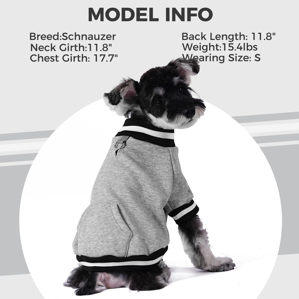 BINGPET dog sweatshirt grey back pocket for small-item storage on walks.