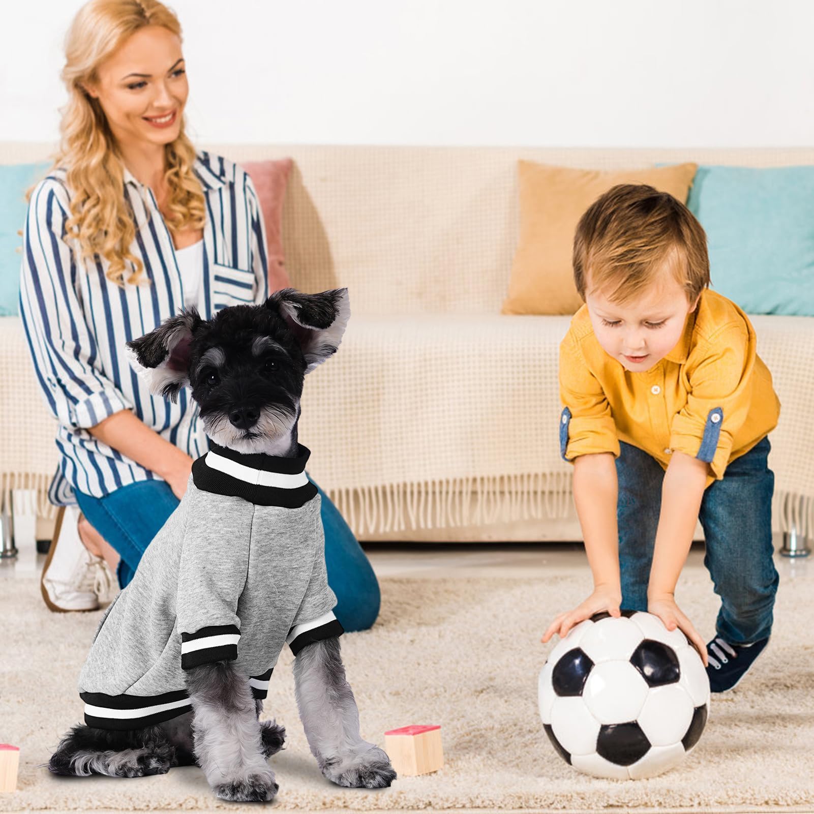BINGPET dog sweatshirt grey size guide image helps choose the right fit.