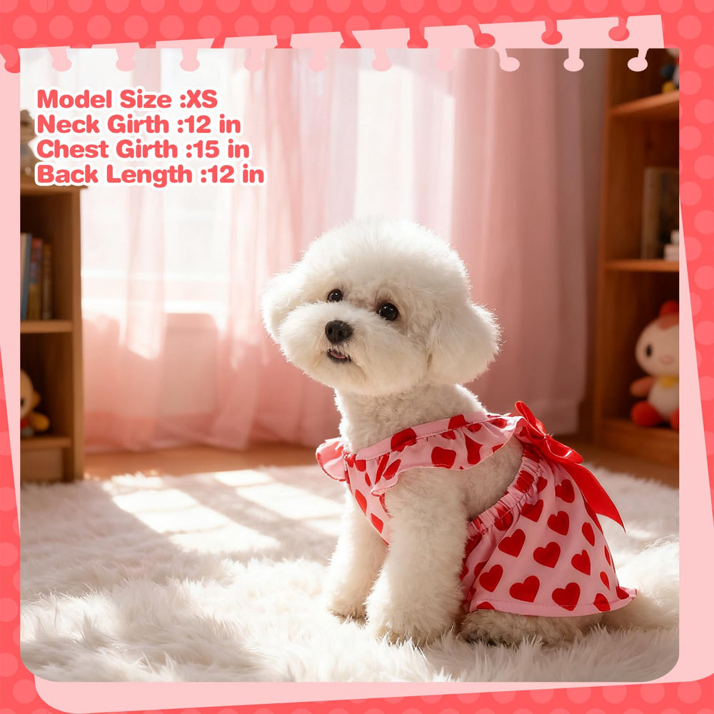 BINGPET dress shows bow and ruffle details for photogenic moments.