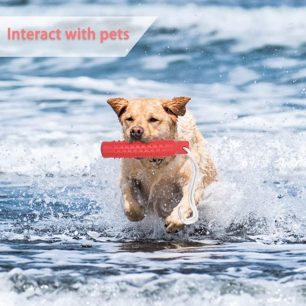 BINGPET durable design supports long-lasting fun during repeated fetch and tug.