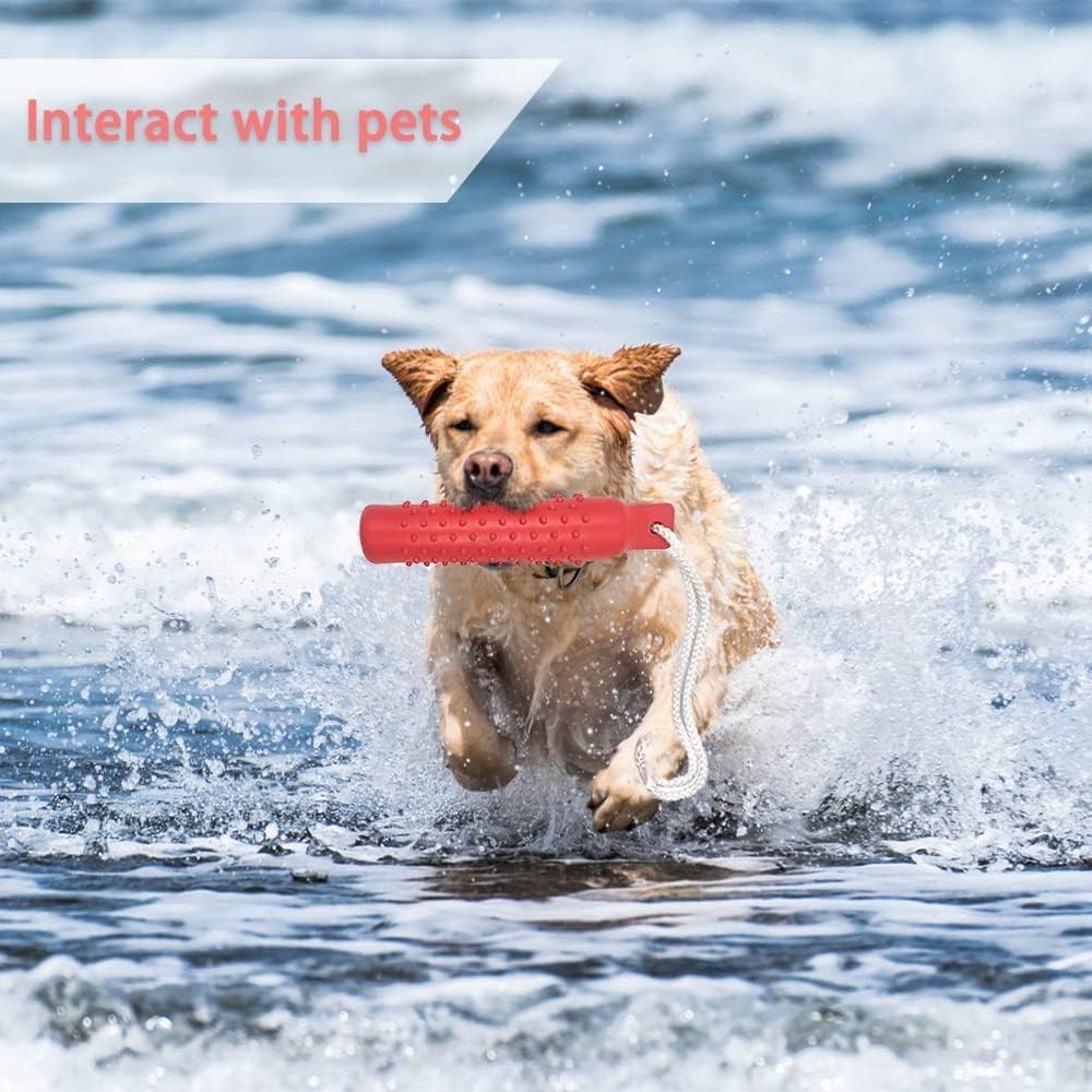 BINGPET durable design supports long-lasting fun during repeated fetch and tug.