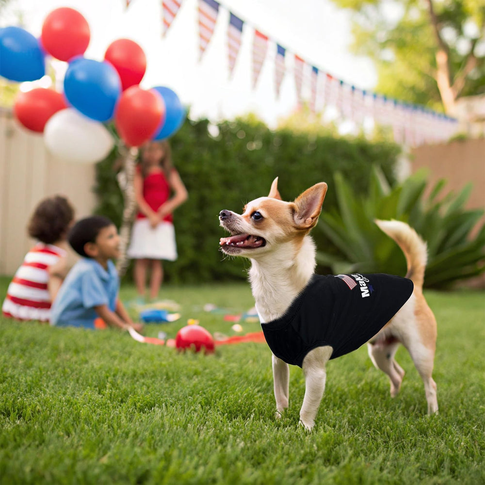 BINGPET Durable stitching closeup showing secure construction for active dogs