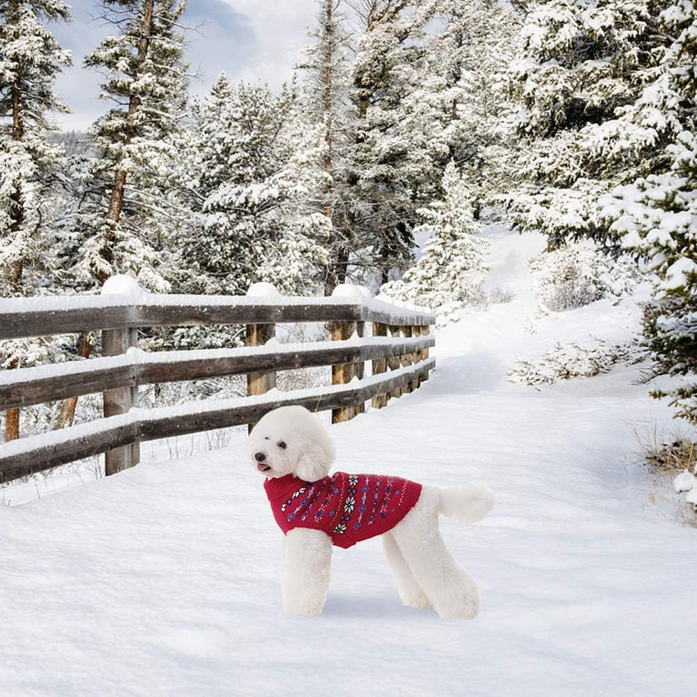 BINGPET easy-on-off dog sweater simplifies dressing for quick outings