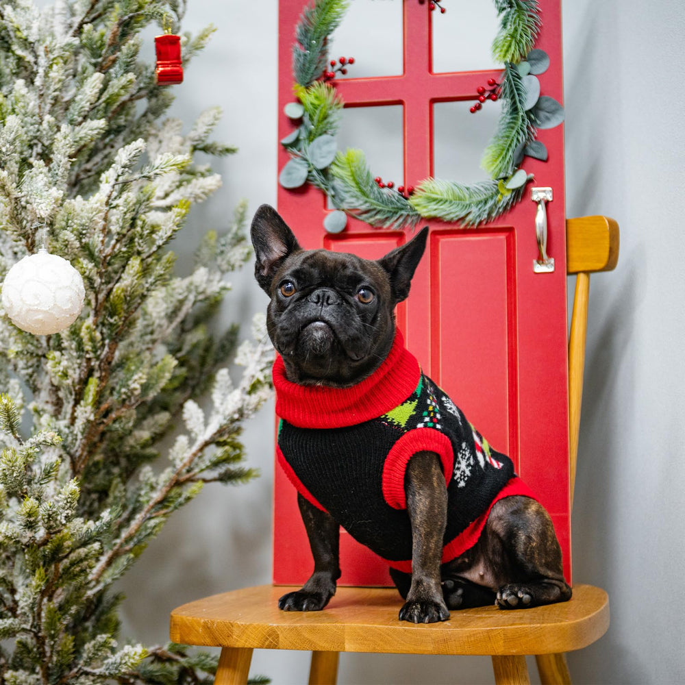 BINGPET Knit Dino Sweater features bow on tail and Christmas hat accents