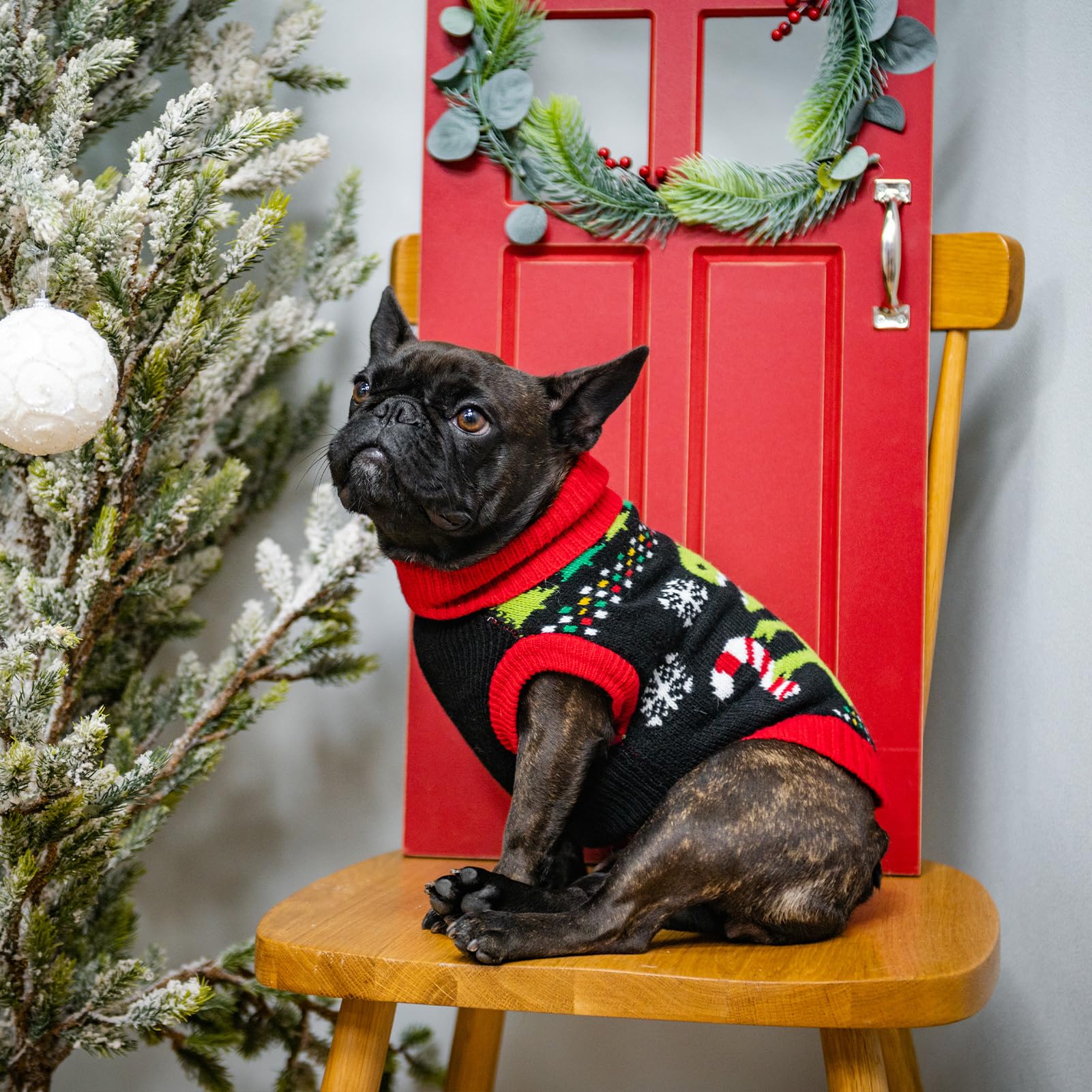 BINGPET Knit Dino Sweater green dinosaur pattern enhances holiday style
