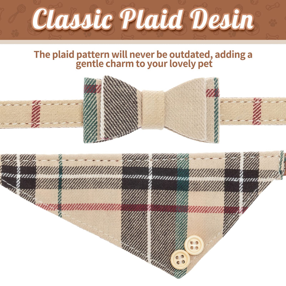 BINGPET leash with 360-degree rotatable buckle enables easy, secure walks