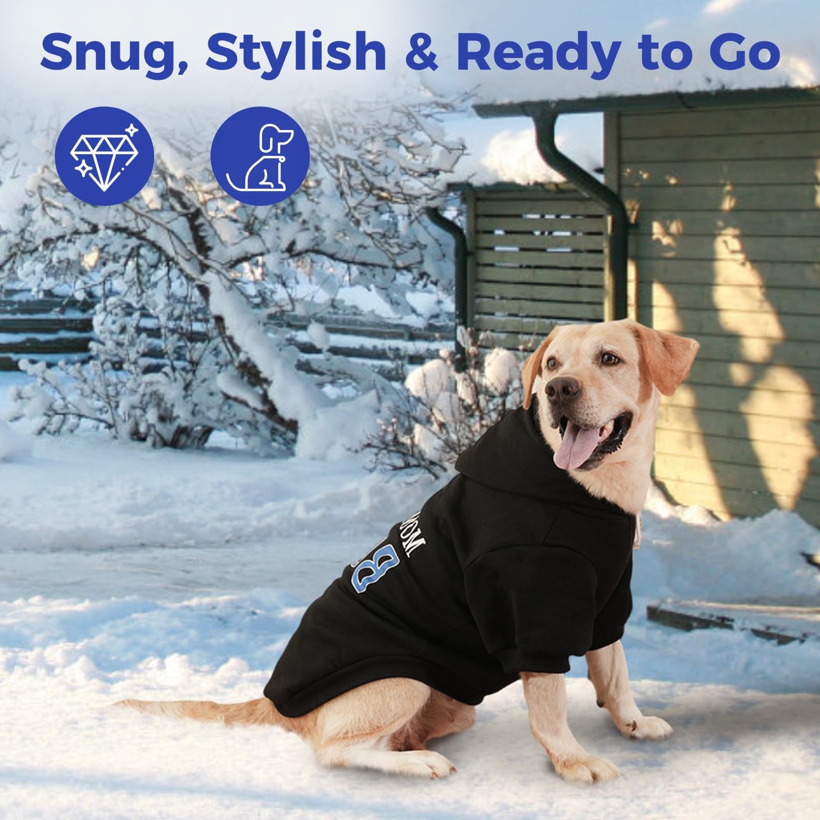 BINGPET Mommy's Boy dog sweater lifestyle photo — versatile wear for strolls and photos