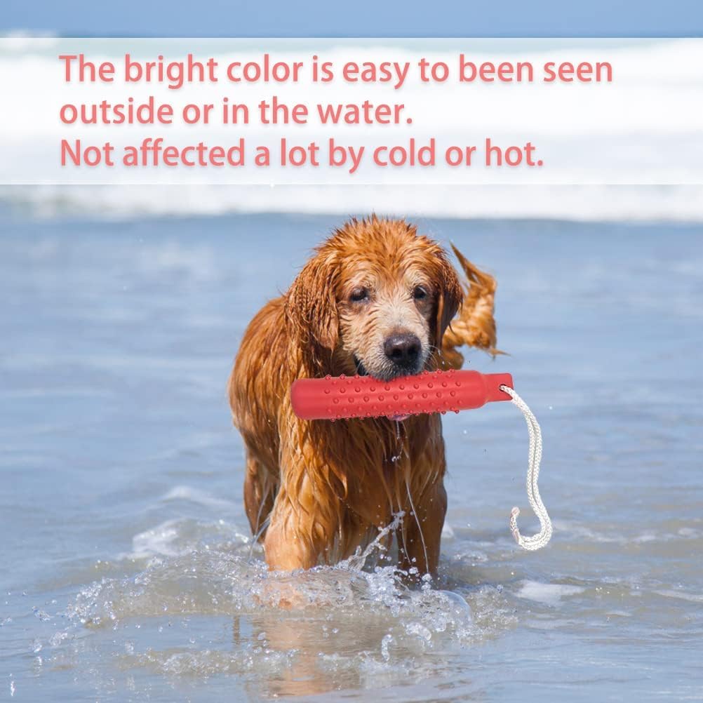 BINGPET non-toxic material ensures safe, durable play for energetic dogs.