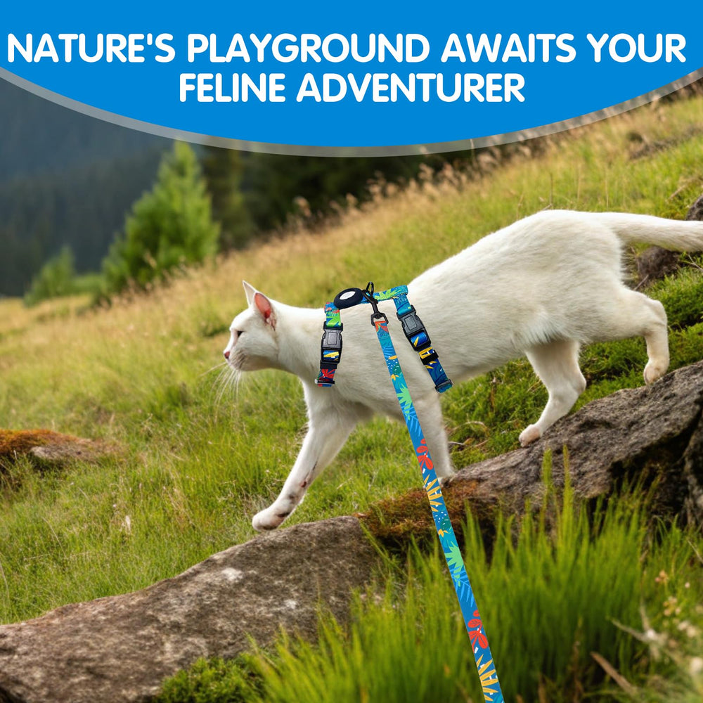 BINGPET outdoor walking kit for stylish, secure cat strolls.