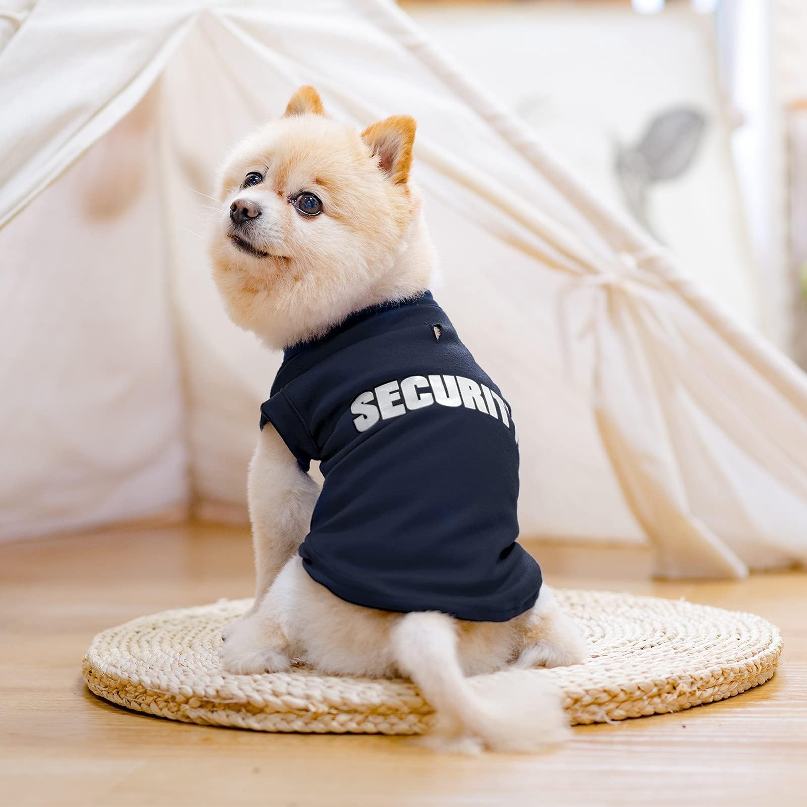 BINGPET security shirt front view shows simple, convenient pullover style