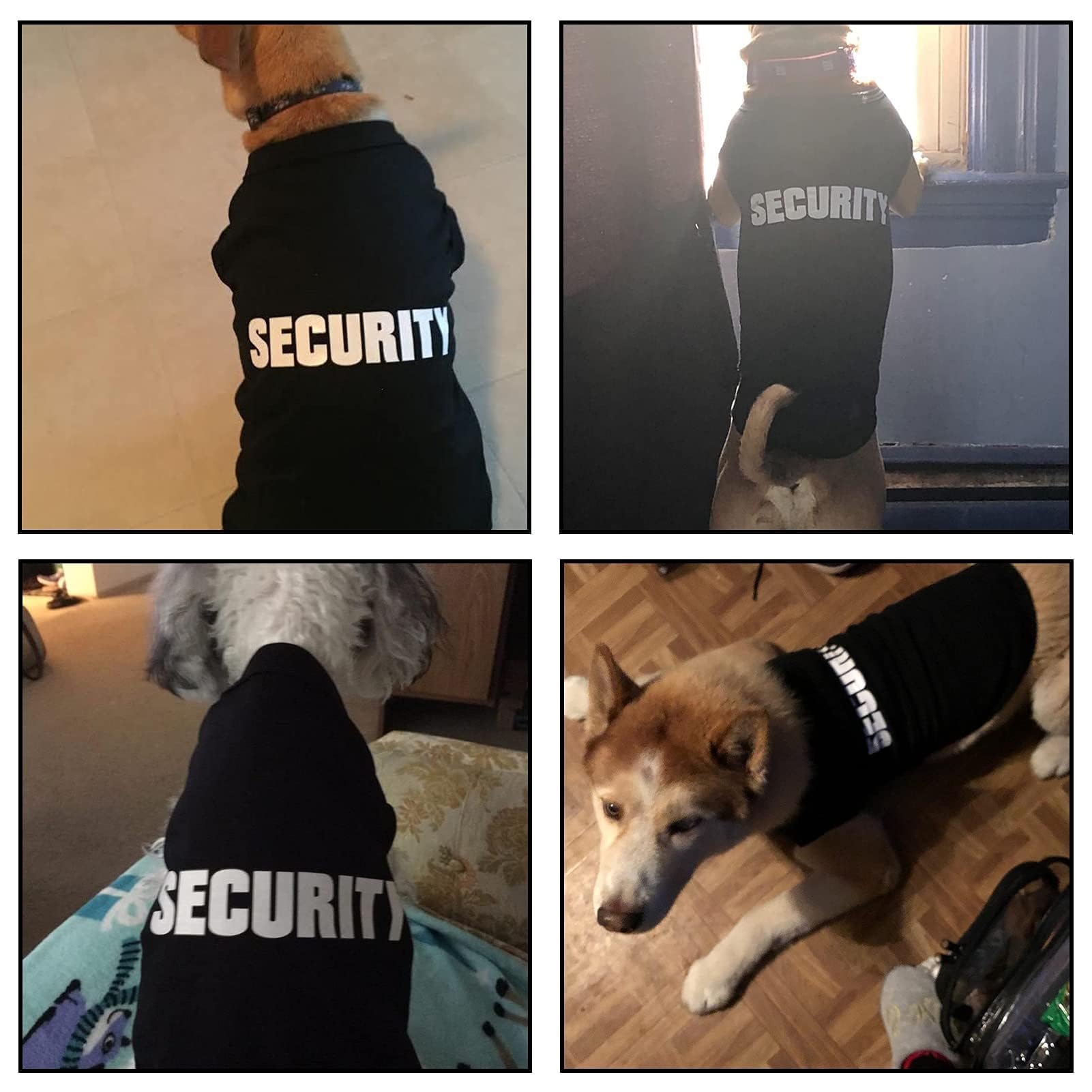 BINGPET security shirt machine-washable tag indicates easy care