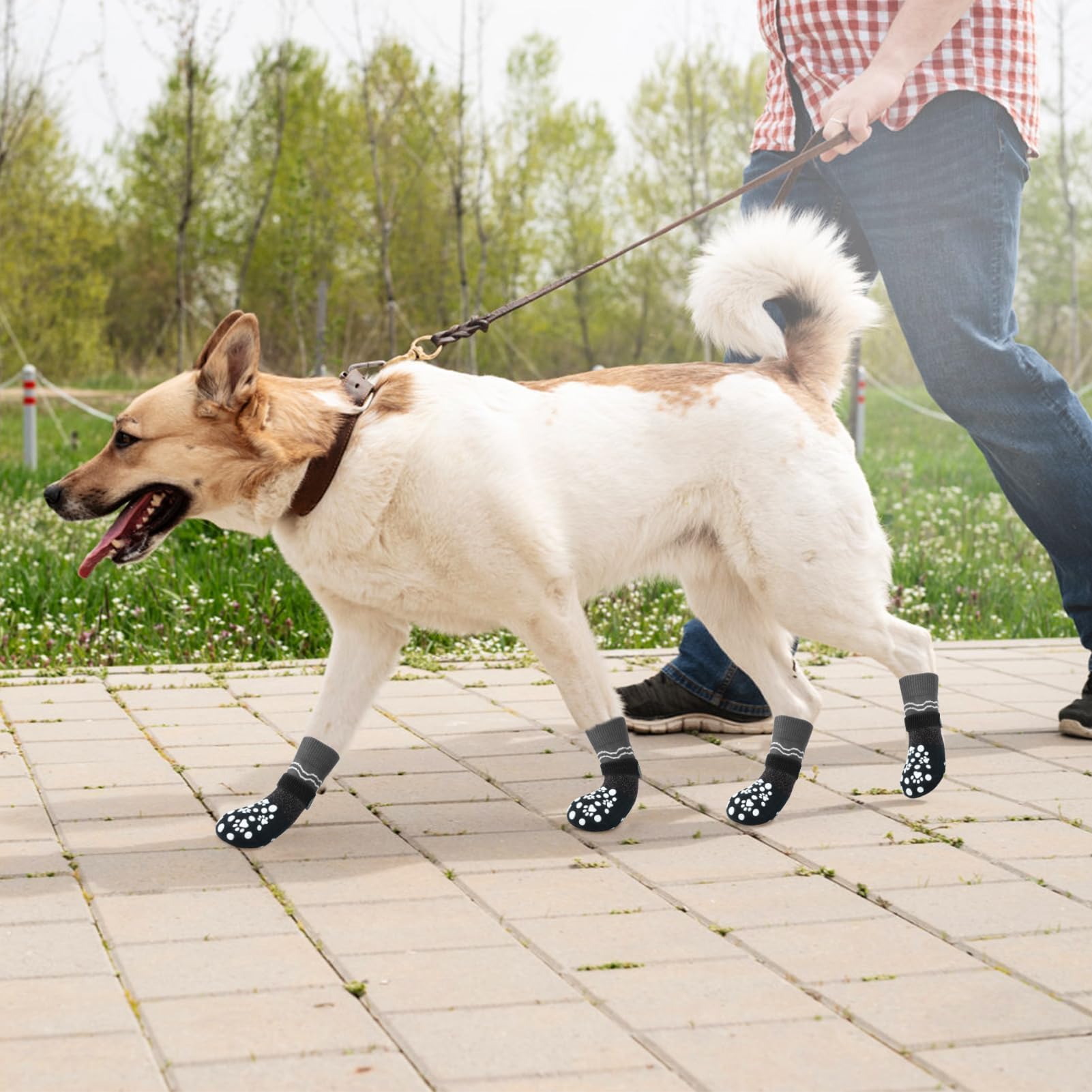 Protección de patas BINGPET frente al frío y superficies rugosas.