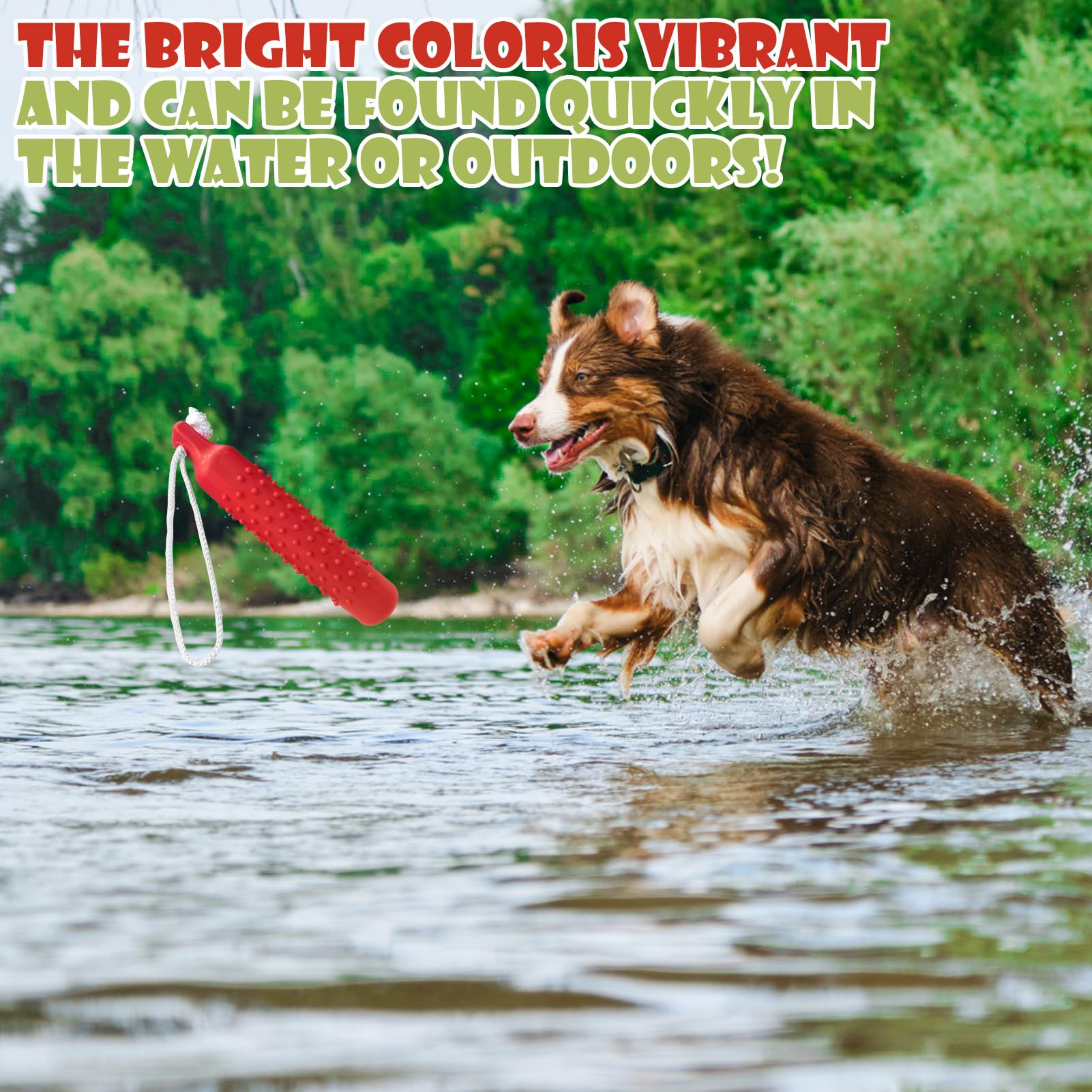 BINGPET summer beach toy suits fetch, diving, and swimming training sessions.