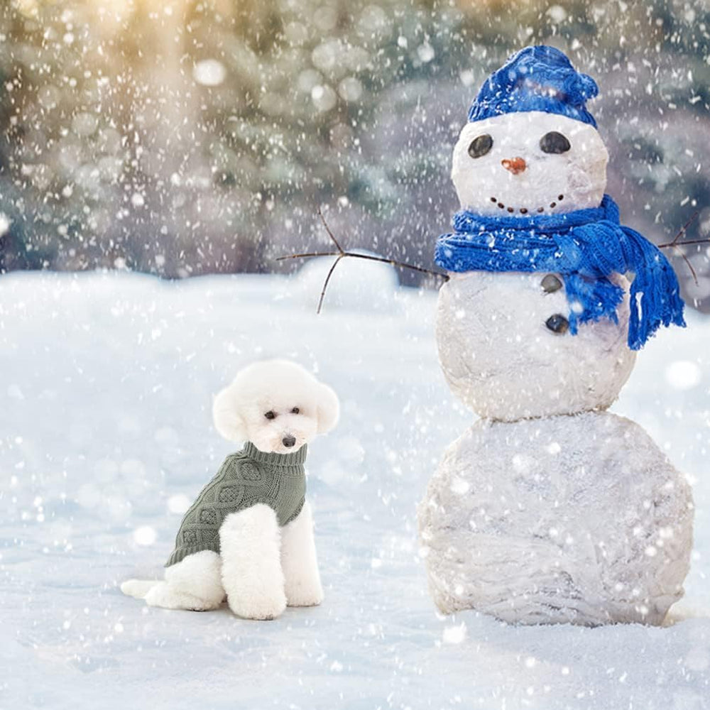 BINGPET Thermal Knitted Dog Sweater worn during walks promotes warmth and mobility
