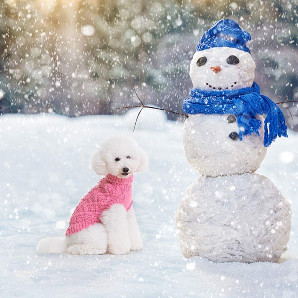 BINGPET winter dog coat pullover emphasizes turtleneck warmth for cold days