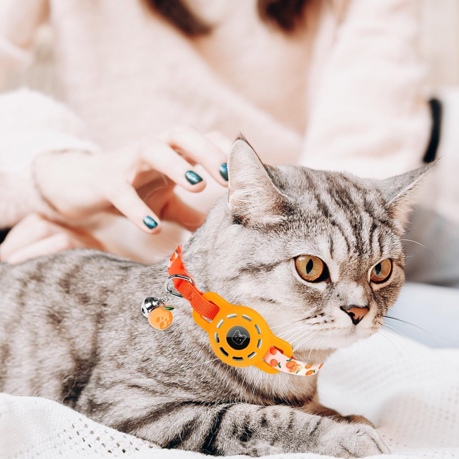 BINGPET zero-hanging AirTag holder cat collar design keeps secure fit during play