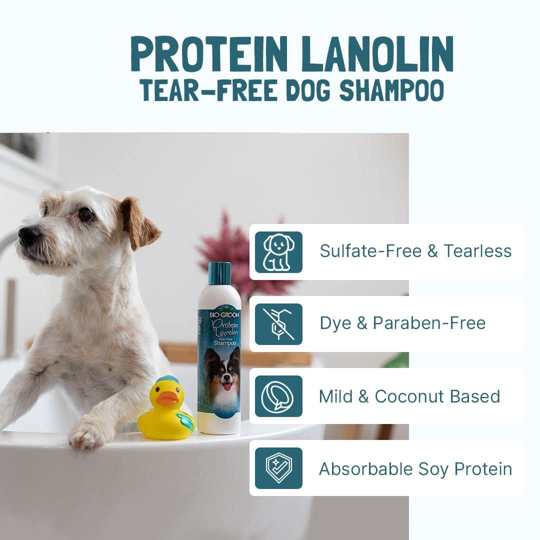 Bio-Groom soy-protein shampoo close-up demonstrates nourished coat potential.