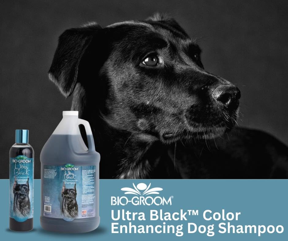 Bio-Groom coat-brightening formula helps dark coats appear richer after wash.