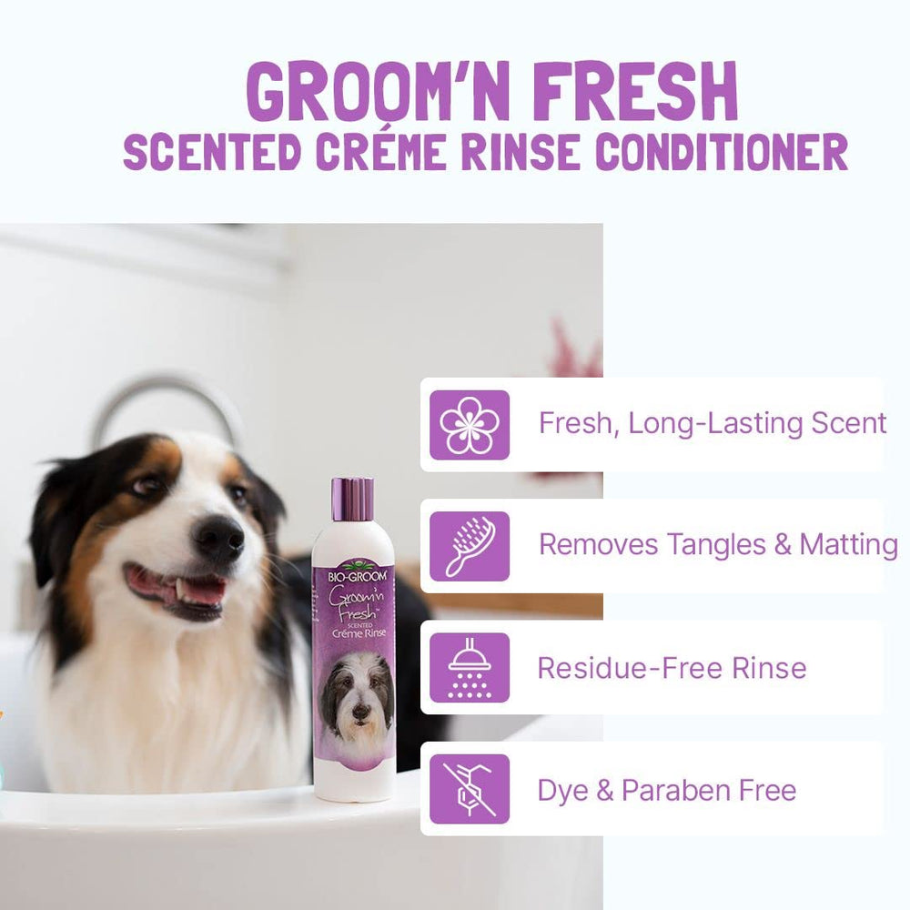 Bio-Groom Groom'n Fresh puppy use demonstrates gentle cleansing for sensitive skin.