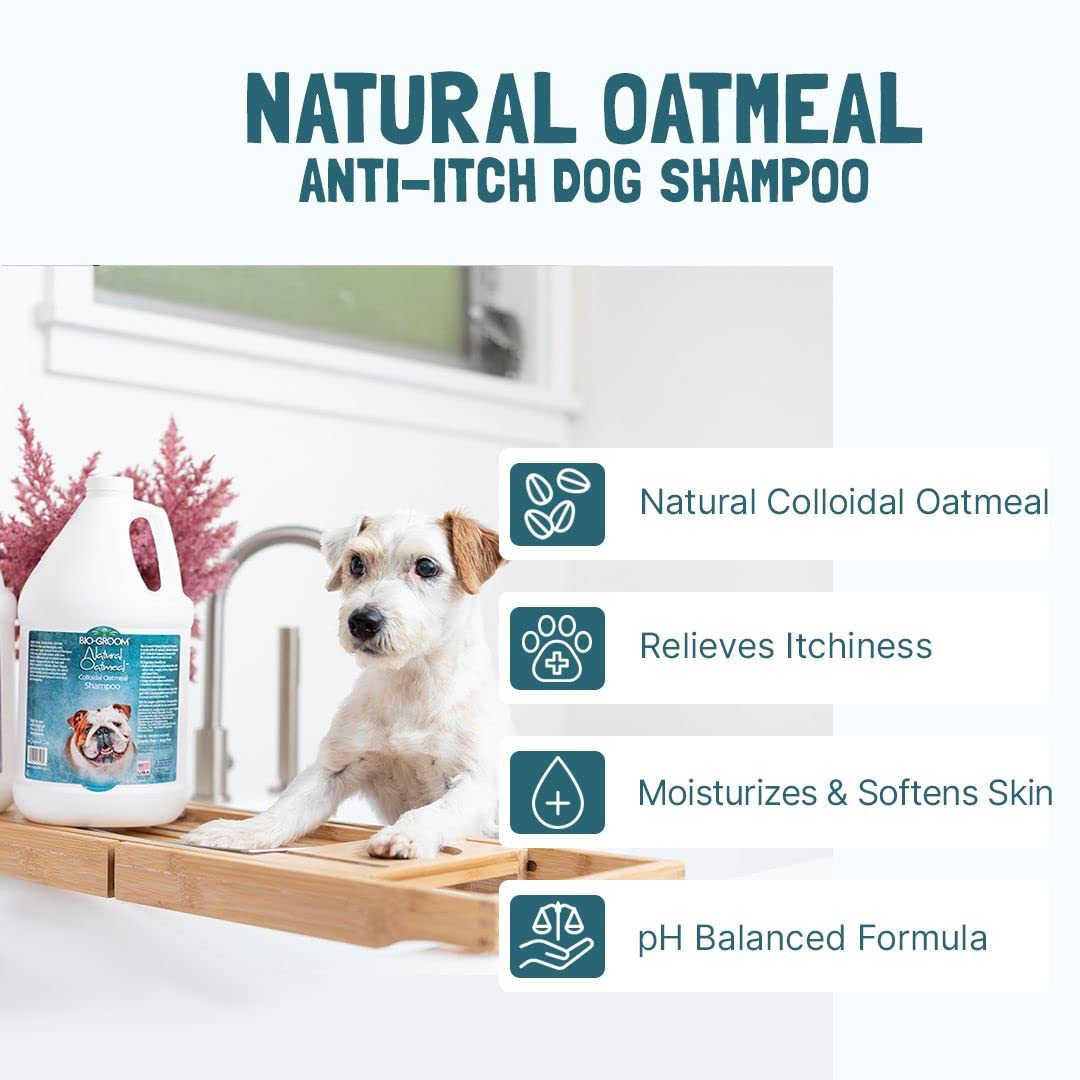 Bio-Groom Oatmeal Dog Shampoo aloe vera ingredient close-up for soothing care