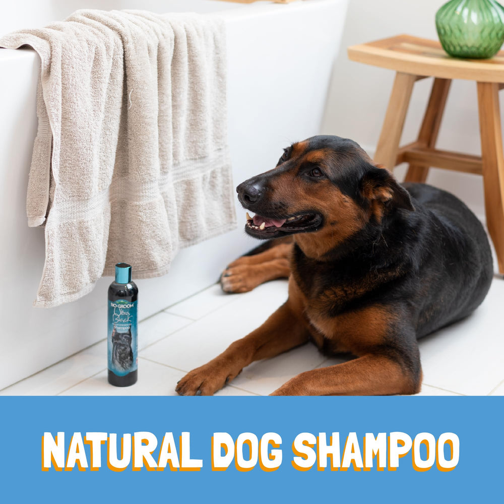 Bio-Groom Ultra-Black Shampoo coconut oil ingredients on label for coat care.