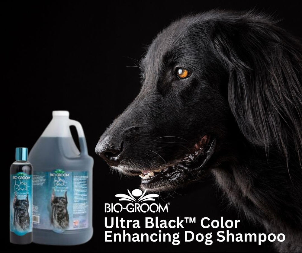 Bio-Groom Ultra-Black Dog Shampoo USA-made label beside grooming setup.