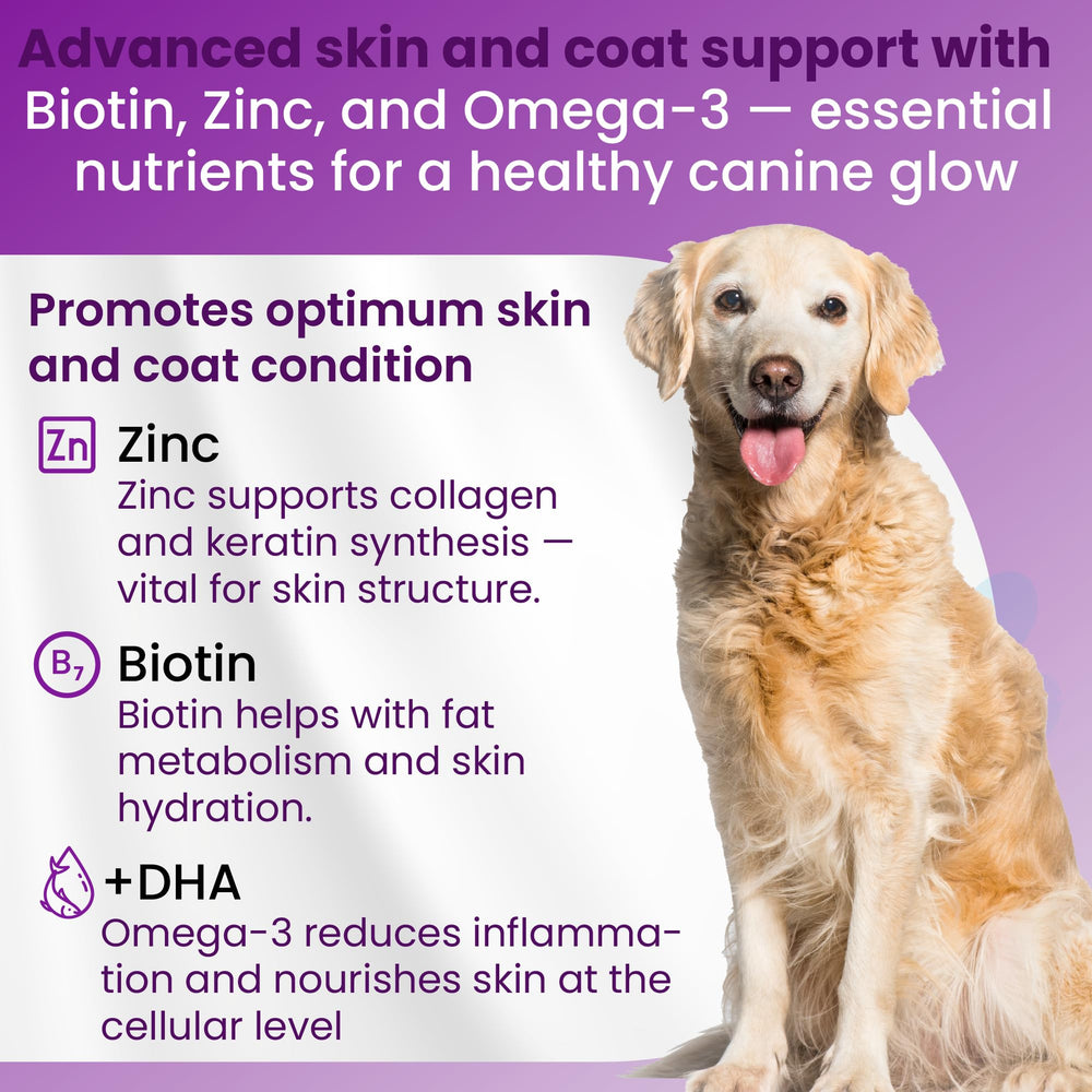 Bio PetActive omega-3 fish oil softgels for joint comfort and shine.