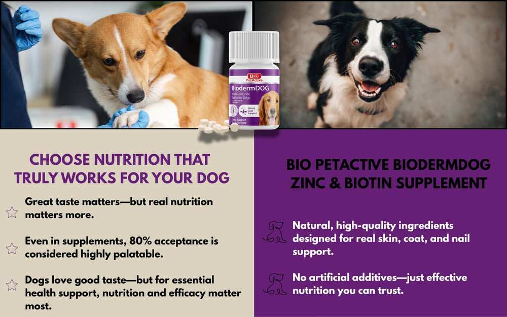 Bio PetActive skin and coat health closeup reveals shiny fur.
