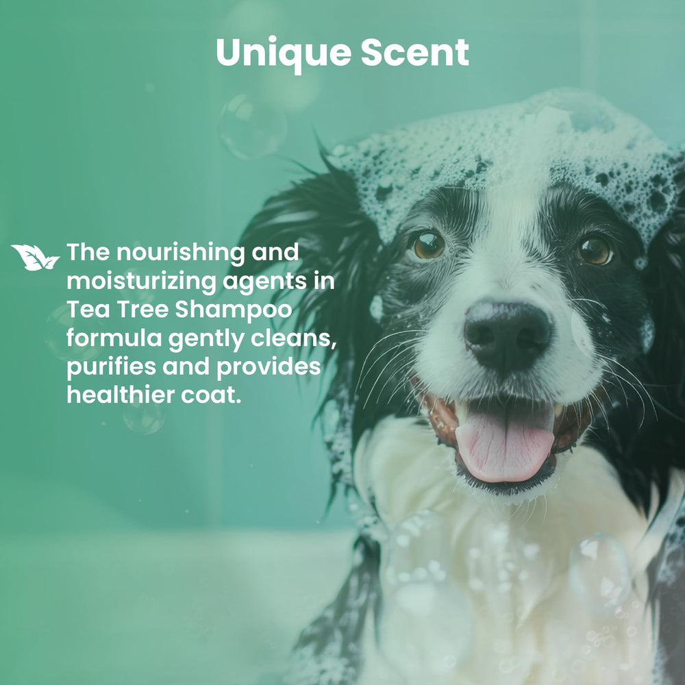 Bio PetActive Tea Tree Oil Dog Shampoo undercoat cleanse supports comfortable grooming.