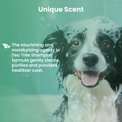 Bio PetActive Tea Tree Oil Dog Shampoo undercoat cleanse supports comfortable grooming.