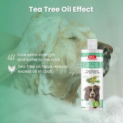 Bio PetActive Tea Tree Oil Dog Shampoo rich foamy lather for thorough cleansing.