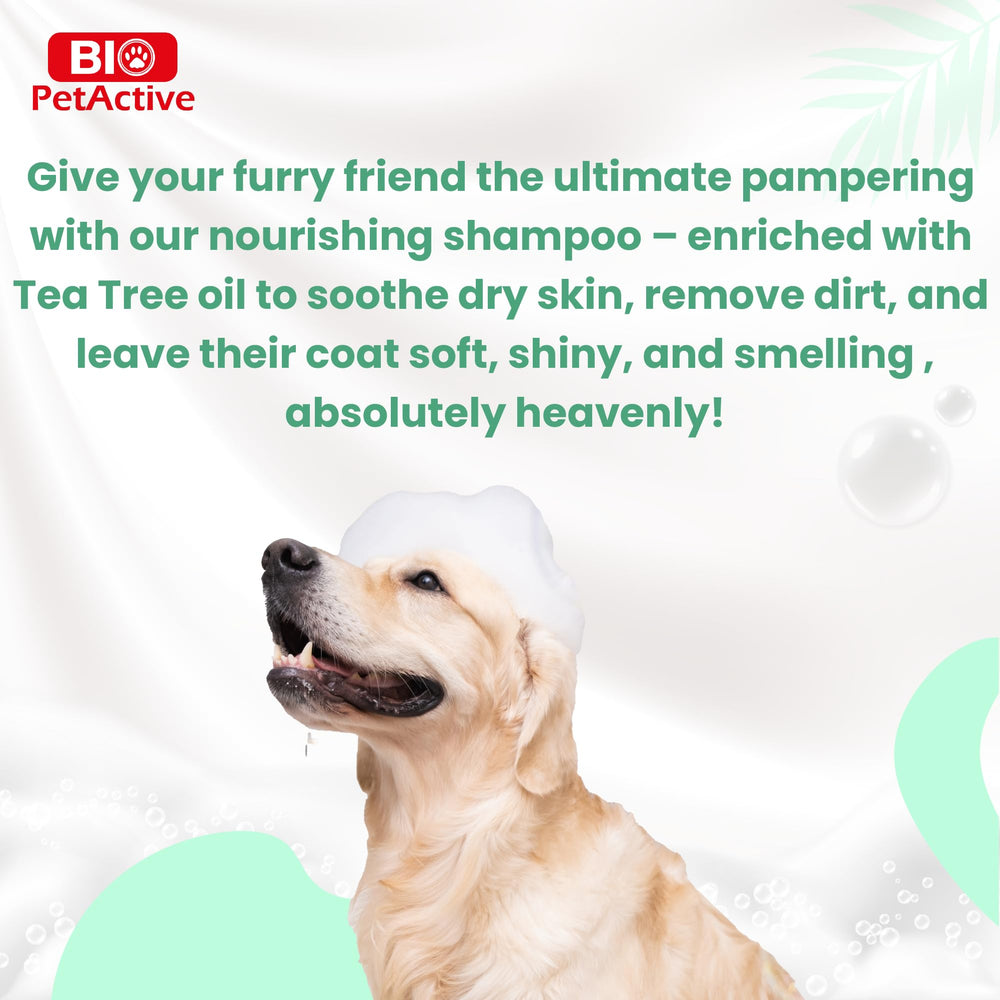 Bio PetActive Tea Tree Oil Dog Shampoo nourishes skin moisture for healthier coat.
