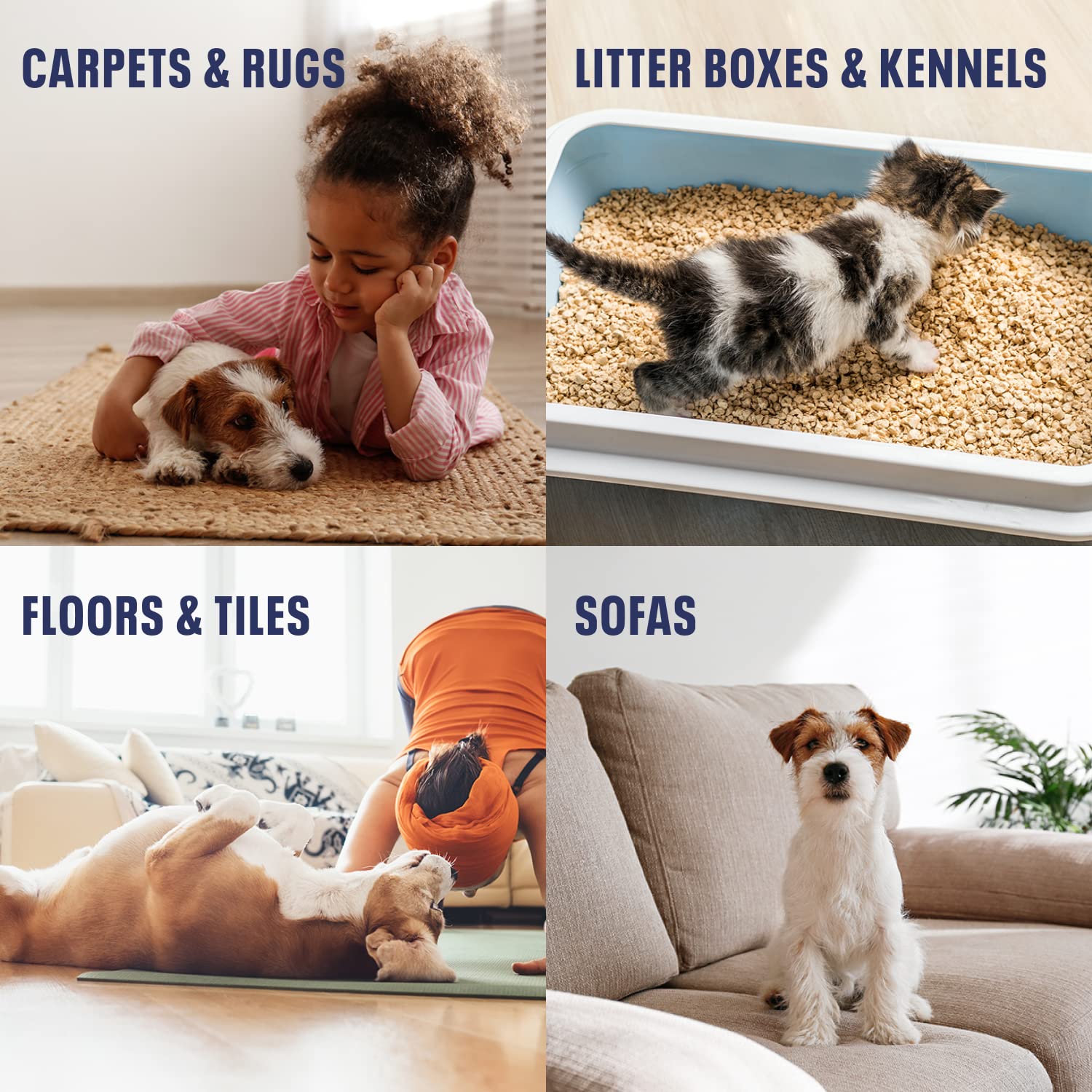 Bioesque Urine Neutralizer spray applied on carpet for odor removal.