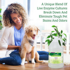 Biokleen Bac-Out carpet cleaning solution ready for tough carpet stains