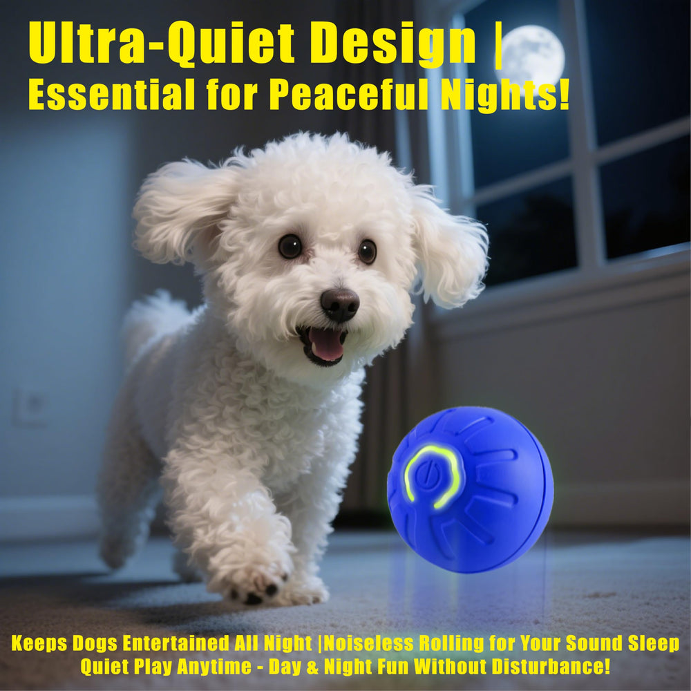 BIONEMAGILI small-dog-cat size ball ideal for gentle indoor exercise