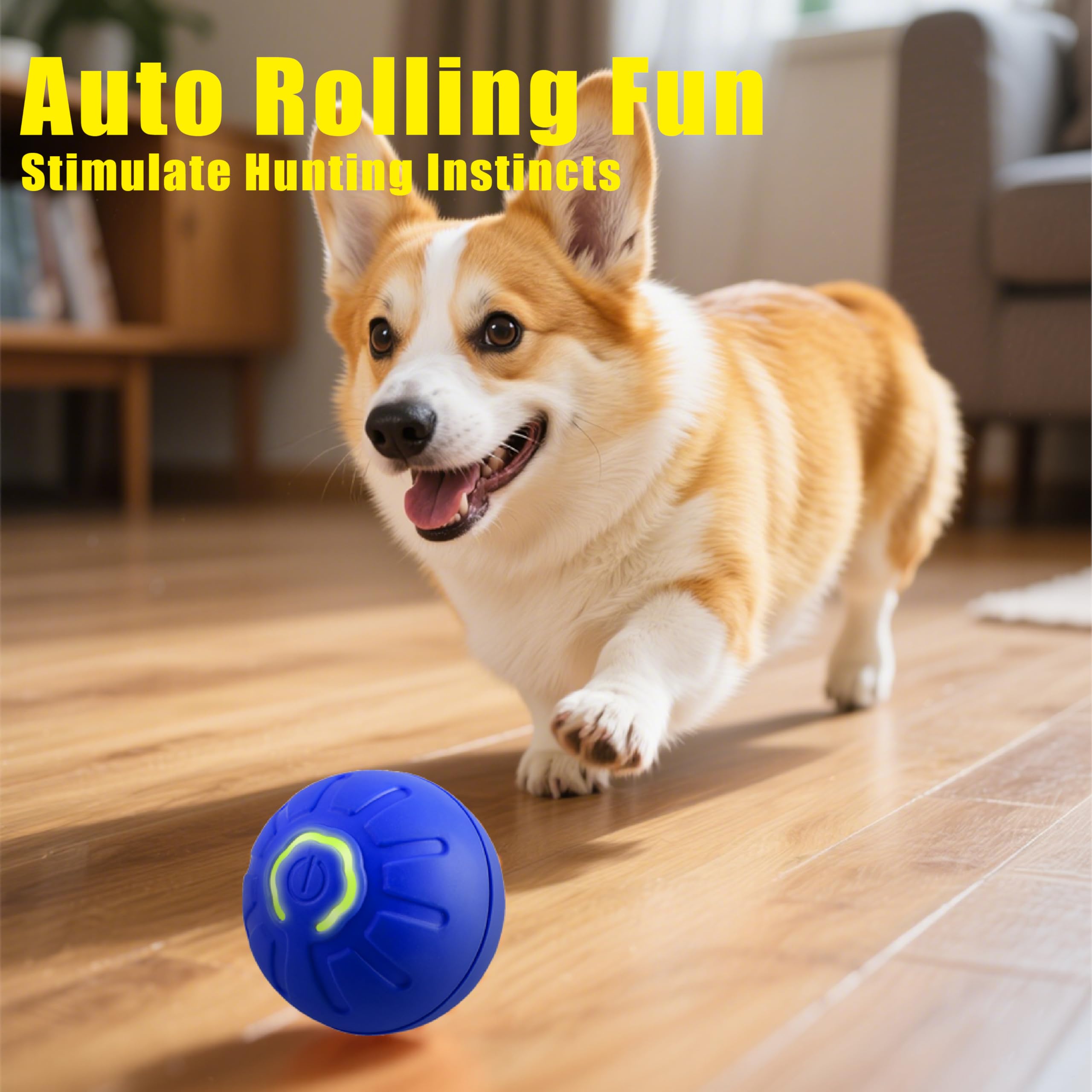 BIONEMAGILI USB-C rechargeable orange ball enables long indoor play sessions for small pets
