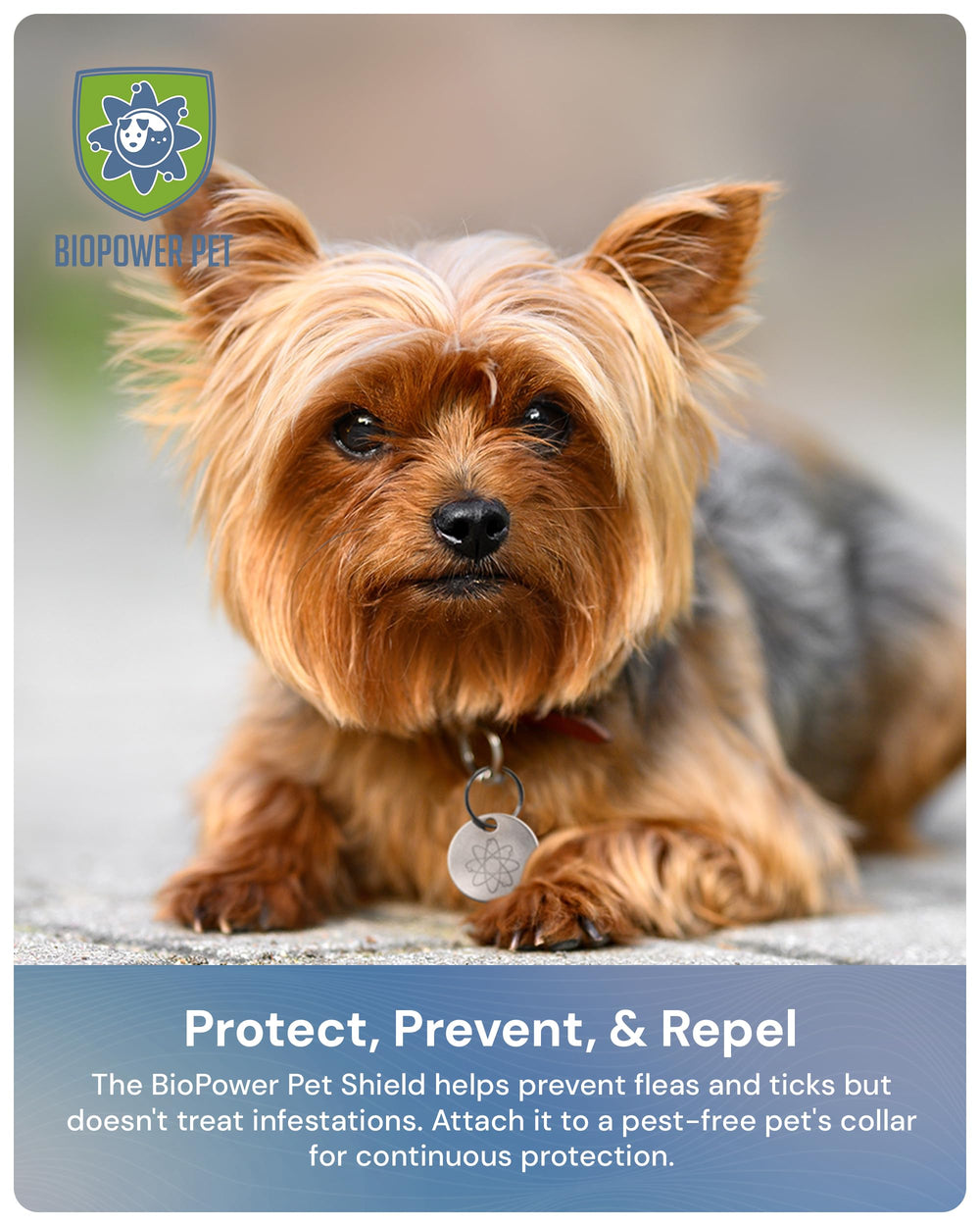 BIOPOWER PET Shield packaging communicates a 1-year care promise.