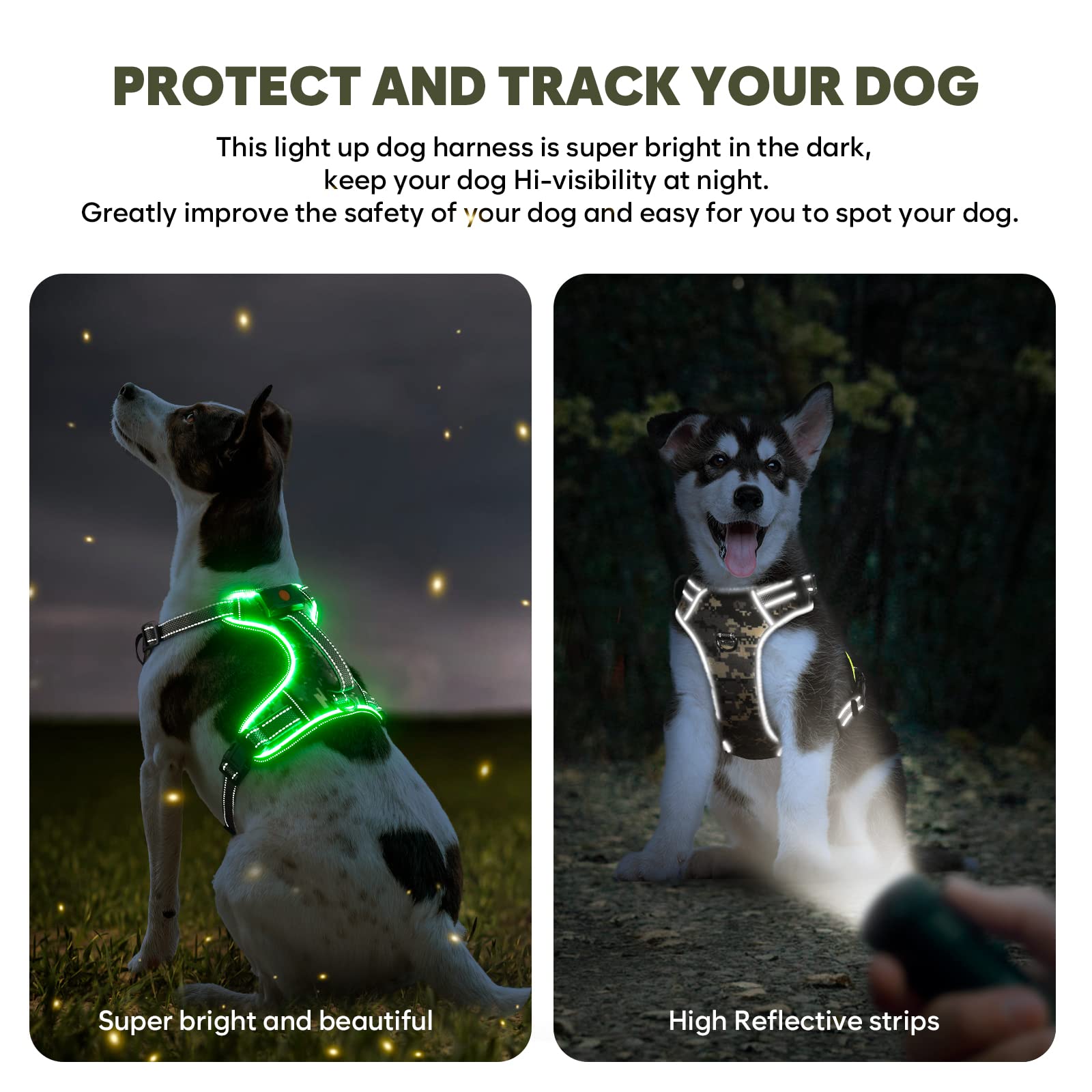 BiPawTi light-up harness with 360-degree reflective strips for safety.