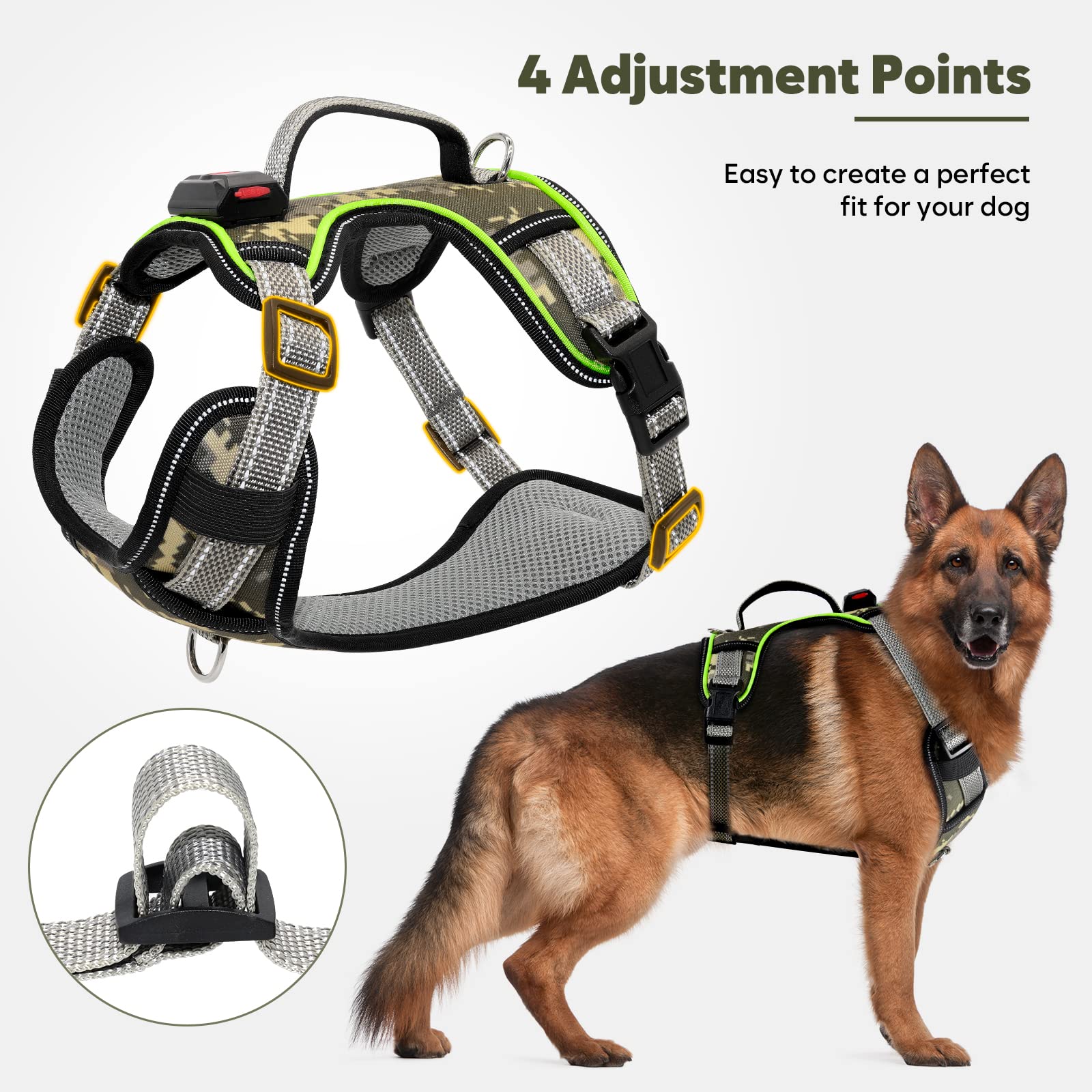 BiPawTi light-up harness adjusting straps for a secure fit.