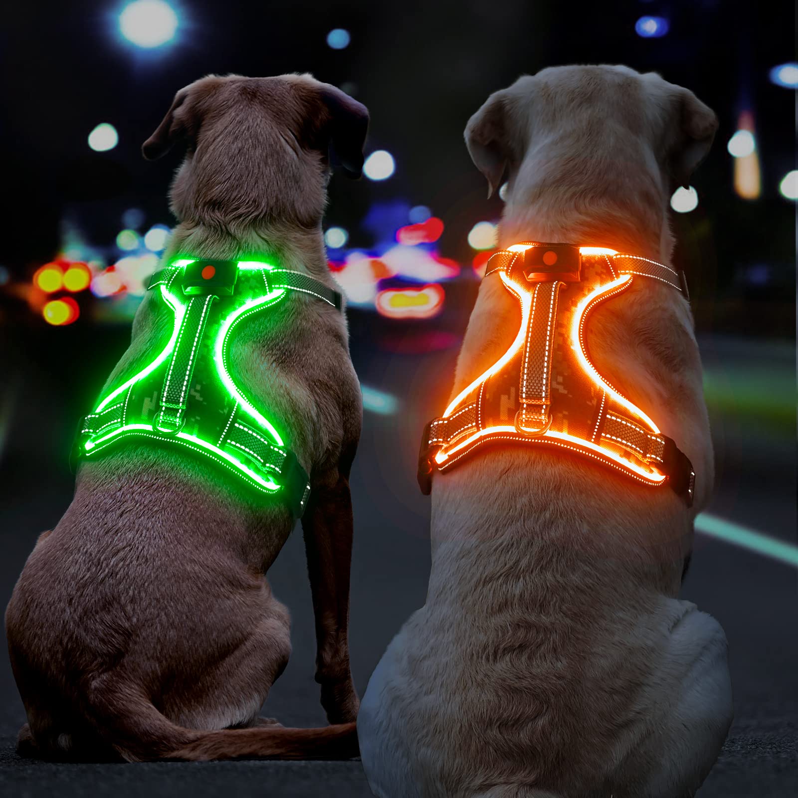 BiPawTi light-up dog harness back view shows removable battery and glow.