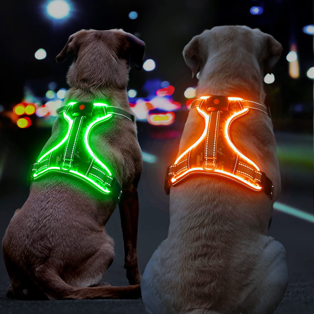 BiPawTi light-up dog harness back view shows removable battery and glow.