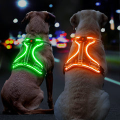 BiPawTi light-up dog harness back view shows removable battery and glow.