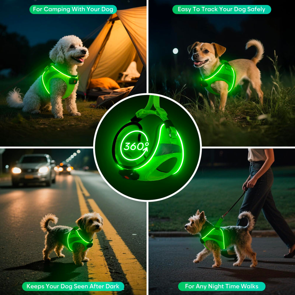 BiPawTi harness close-up battery highlights removable rechargeable power for easy charging.