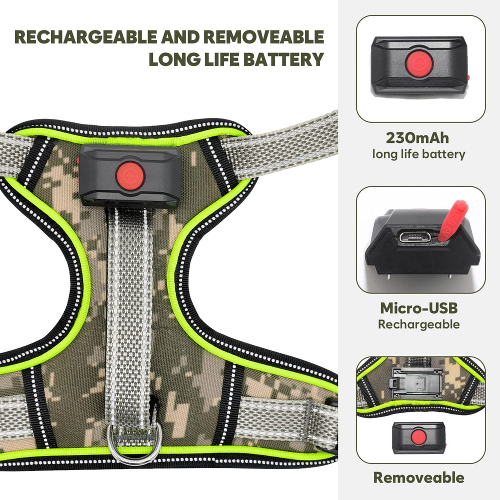 BiPawTi light-up harness battery removal for easy charging and maintenance.