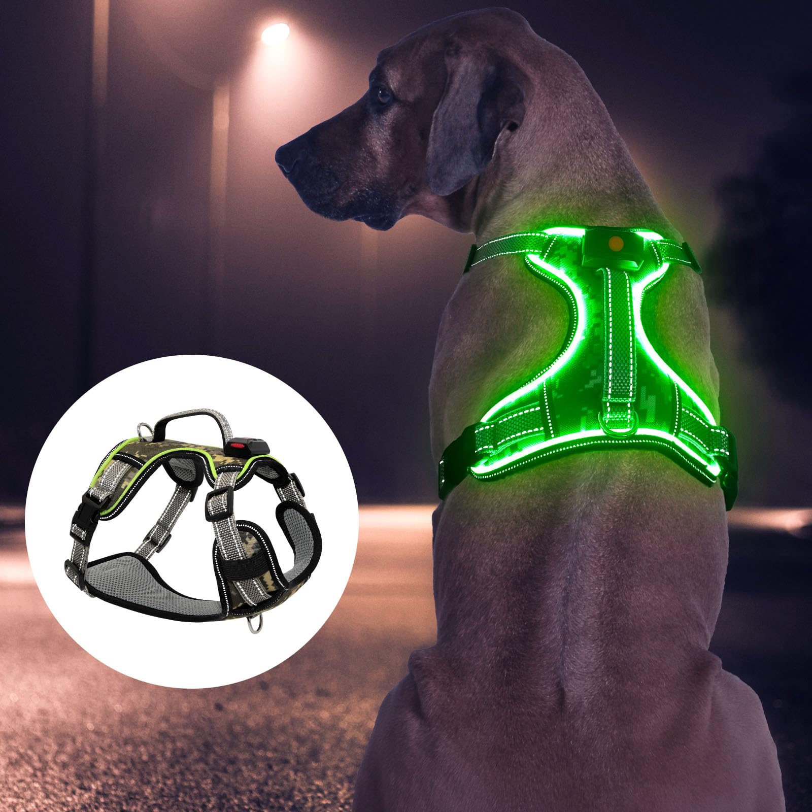 BiPawTi lightweight LED harness for large dogs' daily adventures.